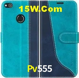 Apostas de Futebol Pv555
