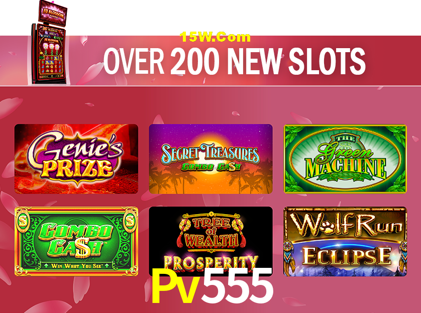 Live Casino Pv555